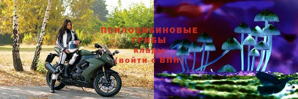 2c-b Бежецк
