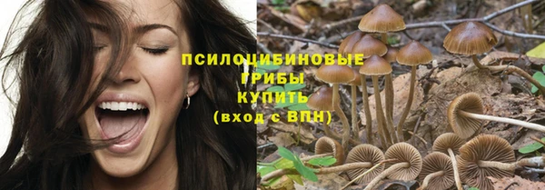mix Новозыбков