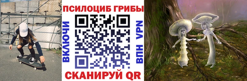 KRAKEN ONION darknet телеграм Галлюциногенные грибы GOLDEN TEACHER цена Правдинск